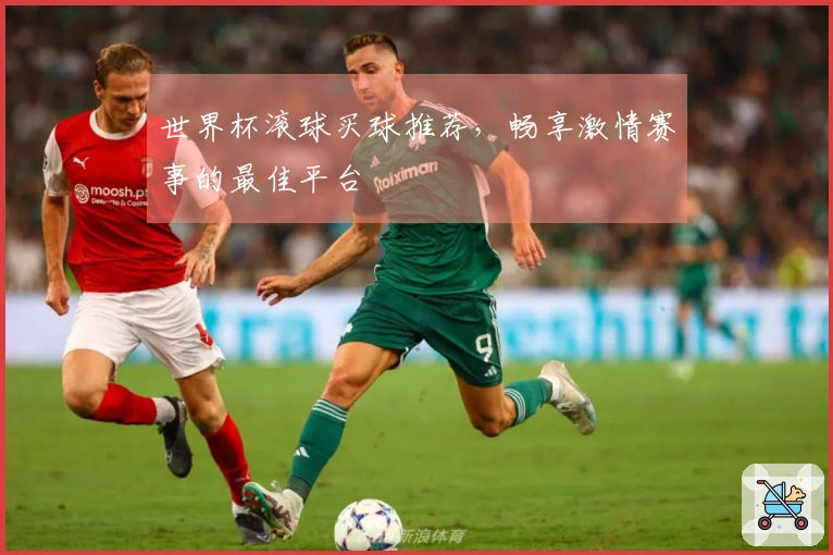 世界杯滚球买球推荐，畅享激情赛事的最佳平台