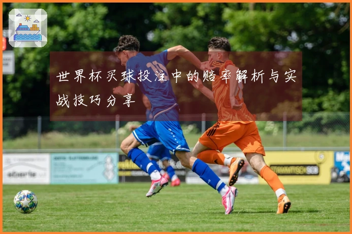 世界杯买球投注中的赔率解析与实战技巧分享