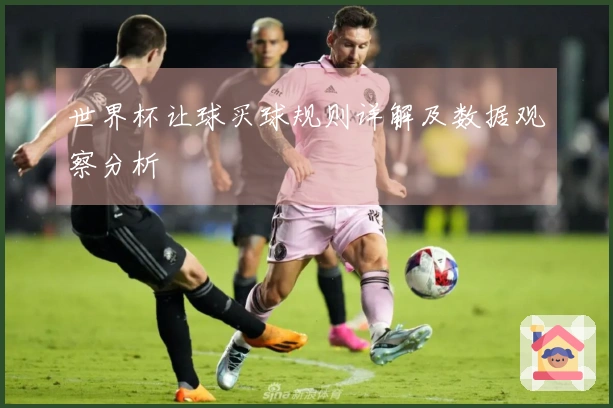 世界杯让球买球规则详解及数据观察分析