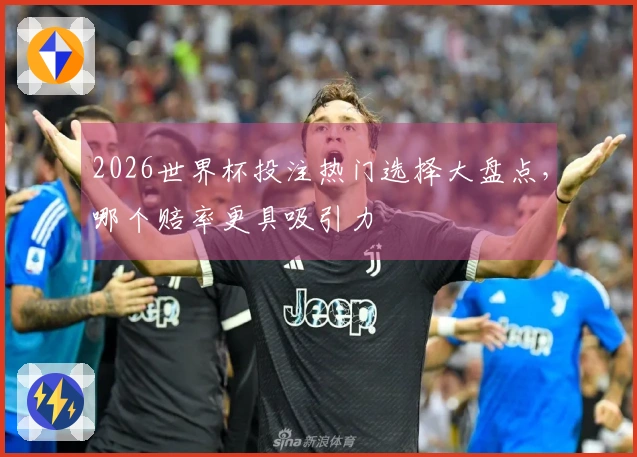 2026世界杯投注热门选择大盘点，哪个赔率更具吸引力