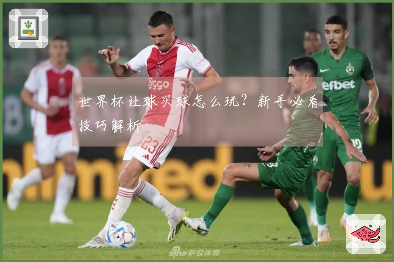 世界杯让球买球怎么玩？新手必看技巧解析