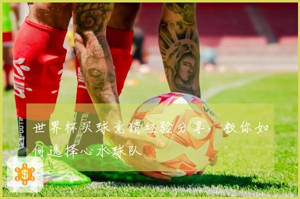 世界杯买球竞猜经验分享，教你如何选择心水球队