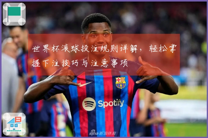 世界杯滚球投注规则详解，轻松掌握下注技巧与注意事项