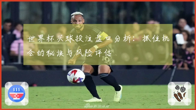 世界杯买球投注盘口分析：抓住机会的秘诀与风险评估