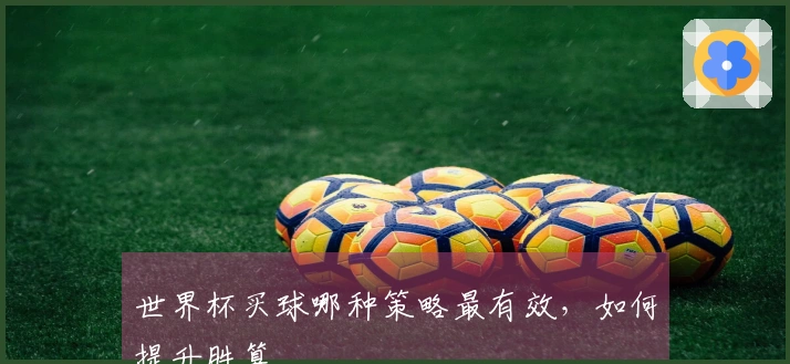 世界杯买球哪种策略最有效，如何提升胜算