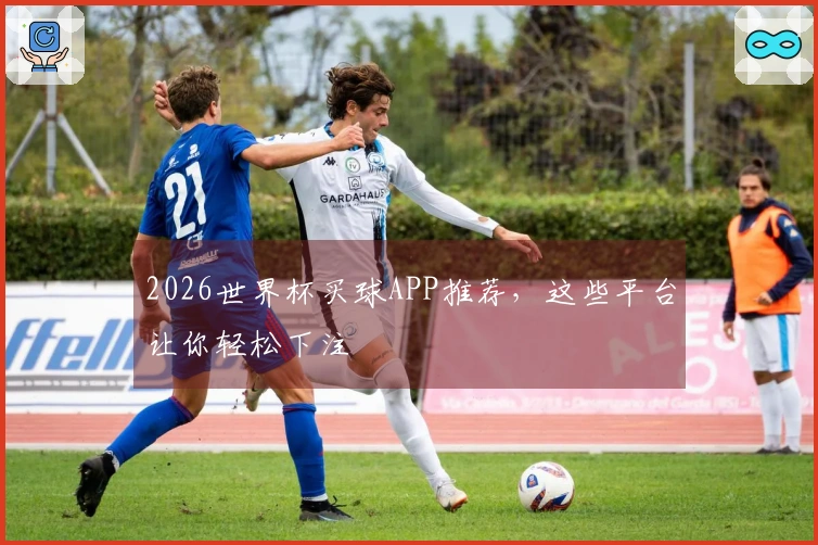 2026世界杯买球APP推荐，这些平台让你轻松下注