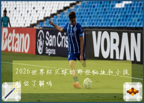 2026世界杯买球的那些秘诀和小技巧你了解吗
