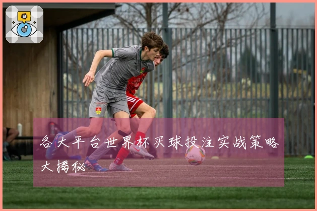 各大平台世界杯买球投注实战策略大揭秘