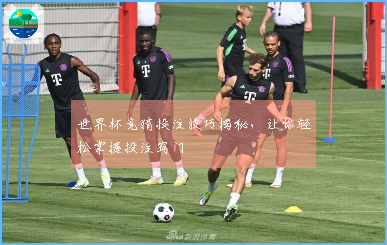 世界杯竞猜投注技巧揭秘，让你轻松掌握投注窍门