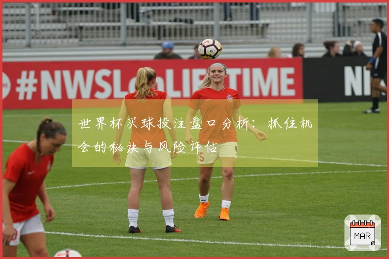 世界杯买球投注盘口分析：抓住机会的秘诀与风险评估
