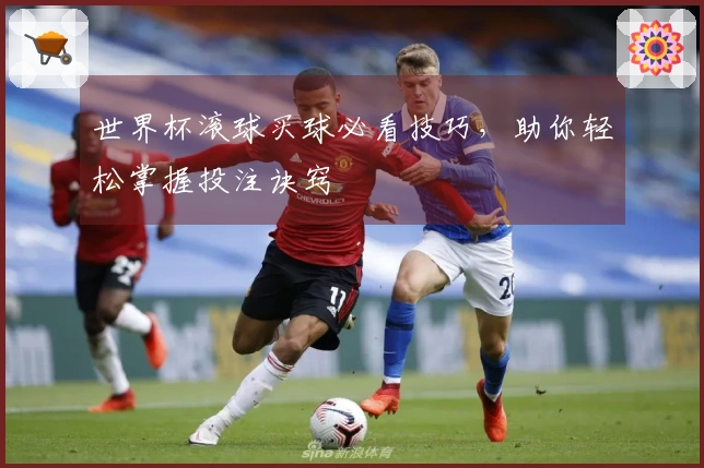 世界杯滚球买球必看技巧，助你轻松掌握投注诀窍