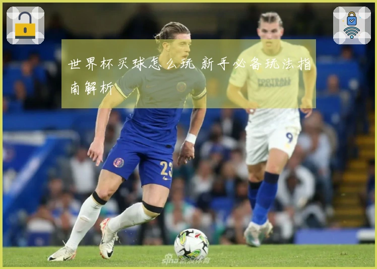 世界杯买球怎么玩 新手必备玩法指南解析