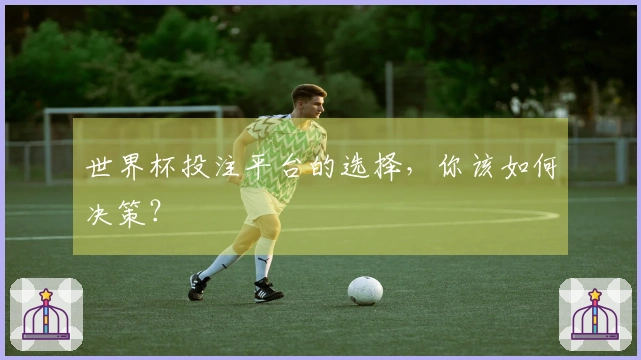 世界杯投注平台的选择，你该如何决策？