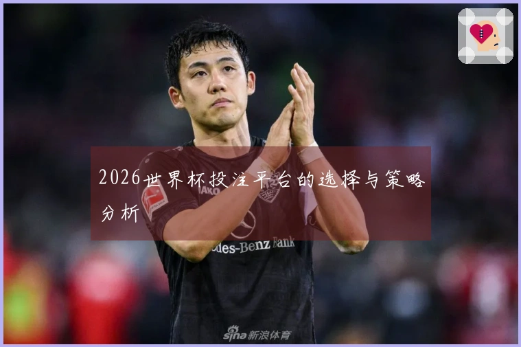 2026世界杯投注平台的选择与策略分析