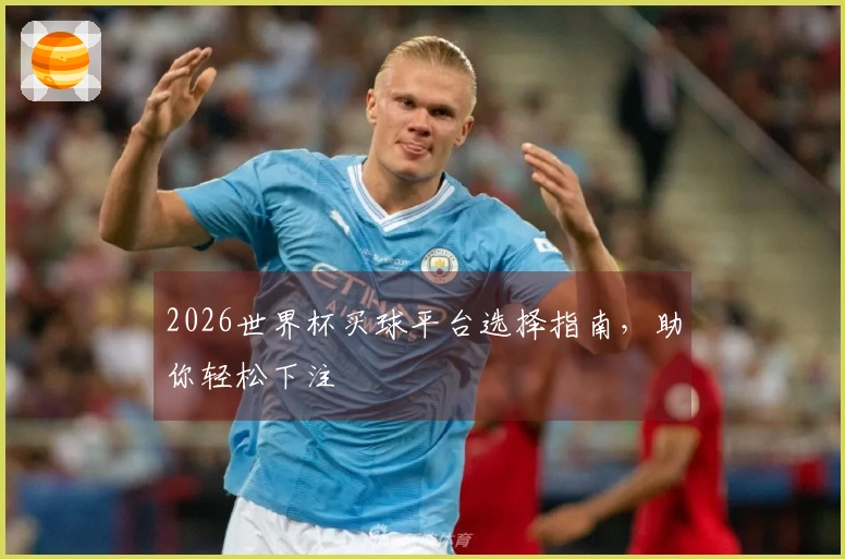 2026世界杯买球平台选择指南，助你轻松下注
