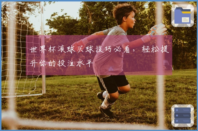 世界杯滚球买球技巧必看，轻松提升你的投注水平