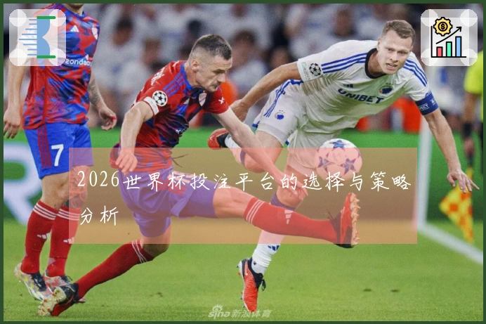 2026世界杯投注平台的选择与策略分析