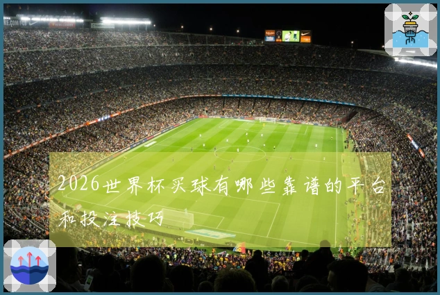 2026世界杯买球有哪些靠谱的平台和投注技巧