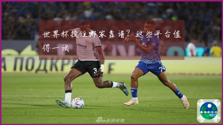 世界杯投注哪家靠谱？这些平台值得一试